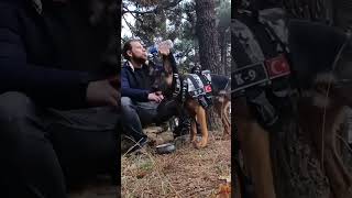 SU GİBİSİ YOK 🤣😂SİRİUSLA ORMANDAYIZ YAKINDAkeşfet video shorts dog gsd nature forest vlog [upl. by Sayles]