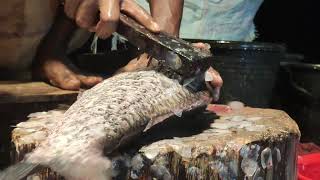 credible Big Carla Fish Cutting In Fish Market  Fish Cutting Skills 2 [upl. by Viscardi933]