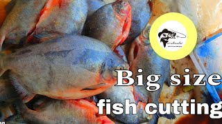 Big size vaval fish cutting fishcuttingfirefish cutting [upl. by Tnarg203]