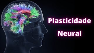 Neuroplasticidade – Fisiologia Humana [upl. by Arutnev]