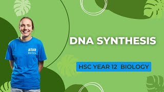 DNA Synthesis  HSC Year 12 Biology [upl. by Sadnalor255]