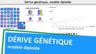 Tuto  Logiciel Dérive Génétique modèle diploïde [upl. by Avlis]