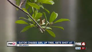 Florida teen chased up tree by alligator saved by hero deputy [upl. by Jessen]