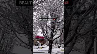 Beautiful Kitimat BC 🇨🇦 winter snow snowfall kitimat britishcolumbia canada pinoyincanada [upl. by Yevol]