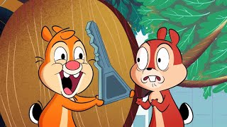 Chip n Dale Park Life  S02E14  REACTION [upl. by Annait]