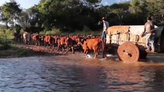 A caminho de Trindade 2017  Abadiânia 2017 [upl. by Carolyne]