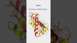 Viroid ll Prions ll Class 11 ll Biology [upl. by Lydnek]