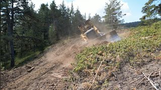 CAT D7 ŞEV KESEN CANAVARSLOPECUTTING MONSTERbuldozer keşfet cat djimini3pro dozer dji [upl. by Sher]