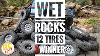 Best Crawler Tires for Wet Rock [upl. by Hartzel]