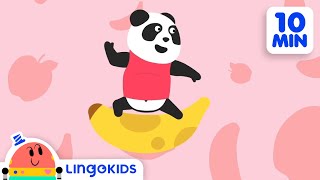 ABC SONGS FOR KIDS 🔤 🎵 The Best Lingokids ABC songs  Lingokids [upl. by Eydie156]