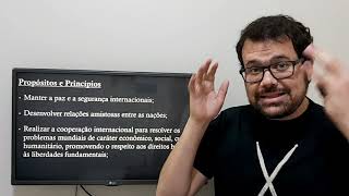 ONU  Formação órgãos atuação pelo mundo e participação do Brasil [upl. by Oicapot]