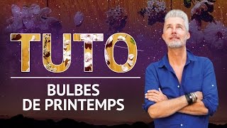 TUTO  Comment planter les bulbes de printemps [upl. by Michaella]