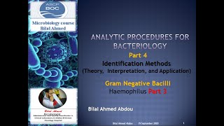 Gram Negative Bacilli Part 3 Haemophilus [upl. by Eglantine643]