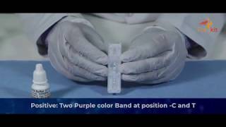 Rapikit HCV Hepatitis C Rapid Test Instructional Video [upl. by Larue]