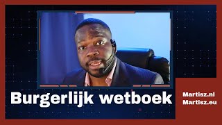 Wetboek Ep 2 Burgerlijk wetboek Hoe zit dat [upl. by Nylrahc]