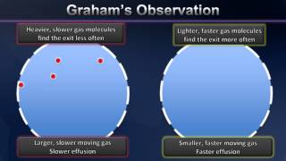 Grahams Law Animation [upl. by Suiram]