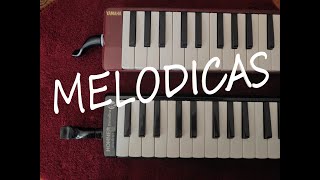 Melodicas Comparison  Yamaha P37D vs Hohner Student 32 [upl. by Eerrehs]