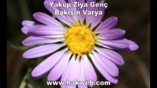 Yakup Ziya Genç Bakışın Varya [upl. by Zelazny713]