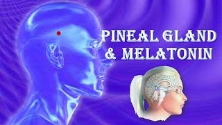 The Pineal Gland And Melatonin [upl. by Obara]