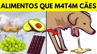 18 alimentos Comuns FATAIS para seu Cachorro [upl. by Alecram]