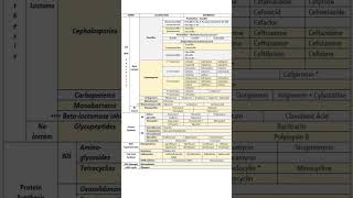 Antibiotics classification [upl. by Mariam757]