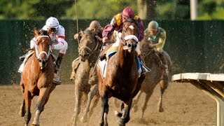 2008 Haskell Invitational Stakes  Big Brown [upl. by Alage]