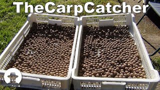 Bait Making  The Basics Carp fishing [upl. by Yrrot]