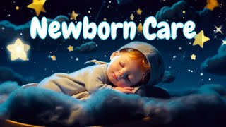 ✨ Sleepy Nights Lullaby for Babies to go to Sleep 🌙  Soothing Bedtime Music for Babies amp Toddlers 🎶 [upl. by Roseline409]