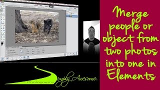 Learn Photoshop Elements  Merge people from two photos into one [upl. by Isdnil]
