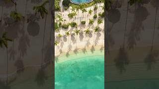 Calm mornings in the Caribbean 🌊🌴 Antigua Caribbean Island Drone DroneVideography Shorts [upl. by Htebezile]