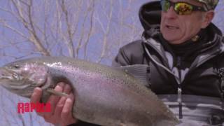 How to Locate River Steelhead  Rapala Fishing Tips [upl. by Carolin116]