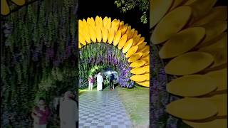 Al Ain Flower festival 2024 alain flowerfestivalalainflowershow2024 [upl. by Noral]