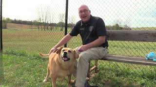 Wilson County Animal Control  Gertie [upl. by Haidadej]