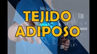 TEJIDO ADIPOSO [upl. by Treblah]