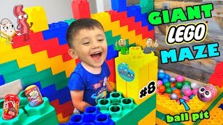 Shawns Circle GIANT LEGO MAZE w HUNT 4 HIDDEN BALDIS BASICS amp MORE TOYS 8  DOH MUCH FUN [upl. by Silberman]