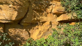 GEOLOGY FIELD TRIP 1 Duston Wildes quarry Northamptonshire [upl. by Gnak]