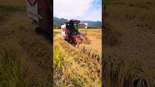 harvester machine Japan shorts yanmar harvester [upl. by Willey]