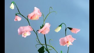 ABC TV  How To Make Sweet Pea Paper Flower From Crepe Paper  Craft Tutorial [upl. by Damon]