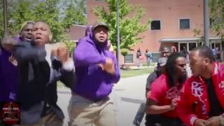 Ques and Kappas Stepping Together [upl. by Aehtla]