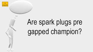 Are Spark Plugs Pre Gapped Champion [upl. by Alemaj]