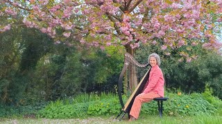 Flower Duet Lakmé by Léo Delibes  Harp Larks [upl. by Alak]