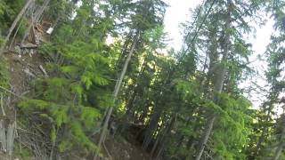 Alaska Mountain Guides Adventure Park amp Zip Line  Skagway Alaska [upl. by Anej]