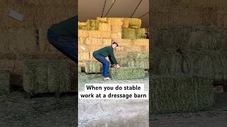 When you work at a dressage barn… [upl. by Toney]