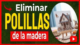 🔴 Como ELIMINAR las POLILLAS DE LA MADERA con remedios caseros [upl. by Lidda]