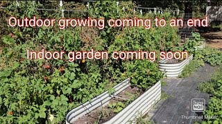 October garden update Indoor garden coming soon garden gardening [upl. by Hajidahk60]