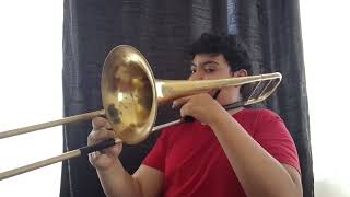 Juguete De Nadie Puerto Rican Power  Trombone Solo [upl. by Ellesig]