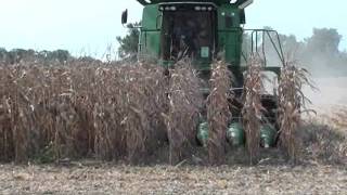 Geringhoff Rota Disc at Virgina Field Day [upl. by Gottwald996]