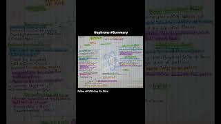 nephrons summary biology exctreatorysystem pcmbguy pcmbnotes [upl. by Ahc]