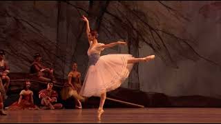 GISELLE  Variation Act 1 Svetlana Zakharova  Bolshoi Ballet [upl. by Jilli]