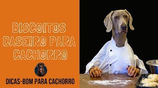 Como fazer biscoitos caseiros para o seu pet Simples e Fácil [upl. by Aiceila]